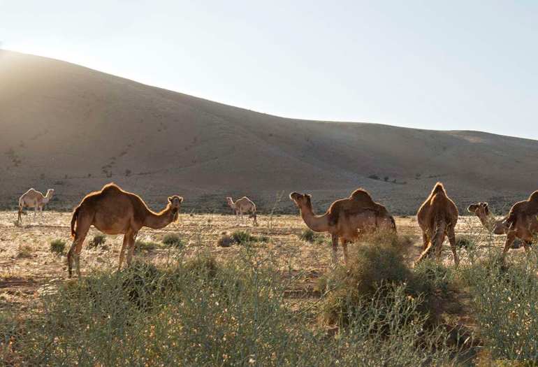 On The Road Less Travelled  [Morocco] post thumbnail image